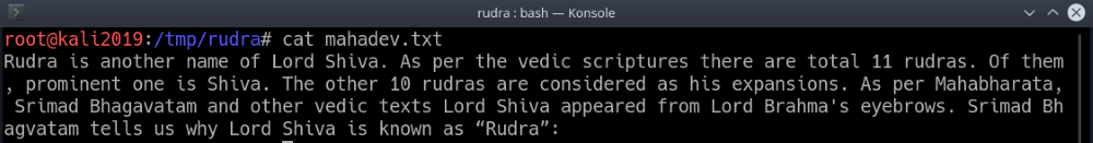 Rudra Read File
